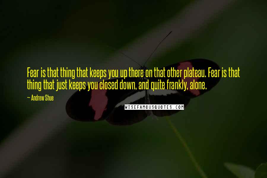 Andrew Shue Quotes: Fear is that thing that keeps you up there on that other plateau. Fear is that thing that just keeps you closed down, and quite frankly, alone.