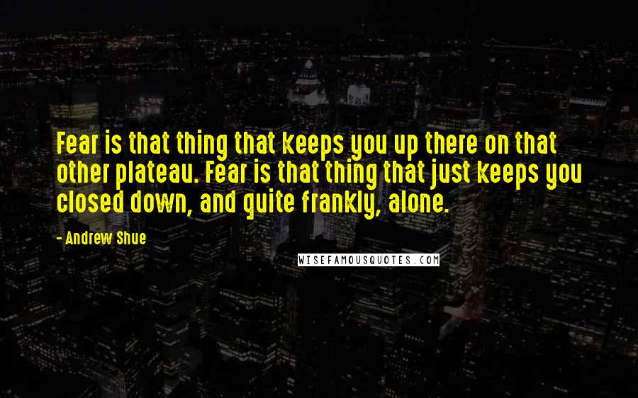 Andrew Shue Quotes: Fear is that thing that keeps you up there on that other plateau. Fear is that thing that just keeps you closed down, and quite frankly, alone.