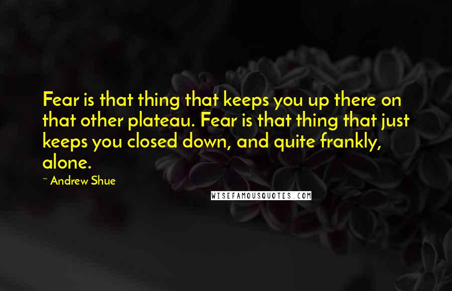 Andrew Shue Quotes: Fear is that thing that keeps you up there on that other plateau. Fear is that thing that just keeps you closed down, and quite frankly, alone.