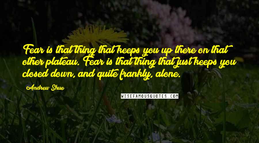 Andrew Shue Quotes: Fear is that thing that keeps you up there on that other plateau. Fear is that thing that just keeps you closed down, and quite frankly, alone.