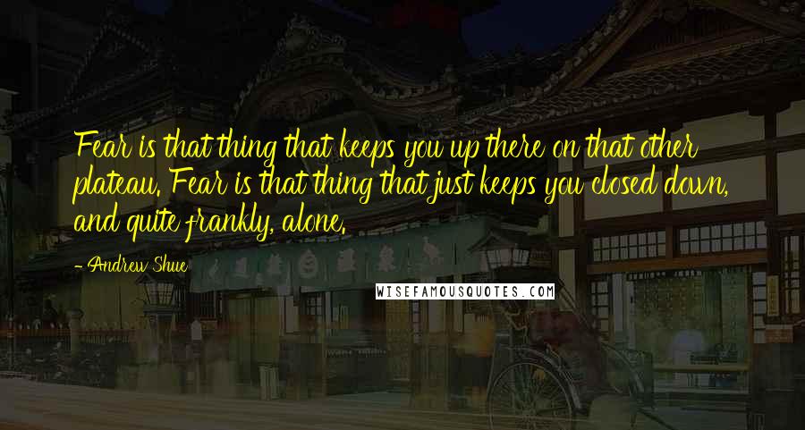 Andrew Shue Quotes: Fear is that thing that keeps you up there on that other plateau. Fear is that thing that just keeps you closed down, and quite frankly, alone.