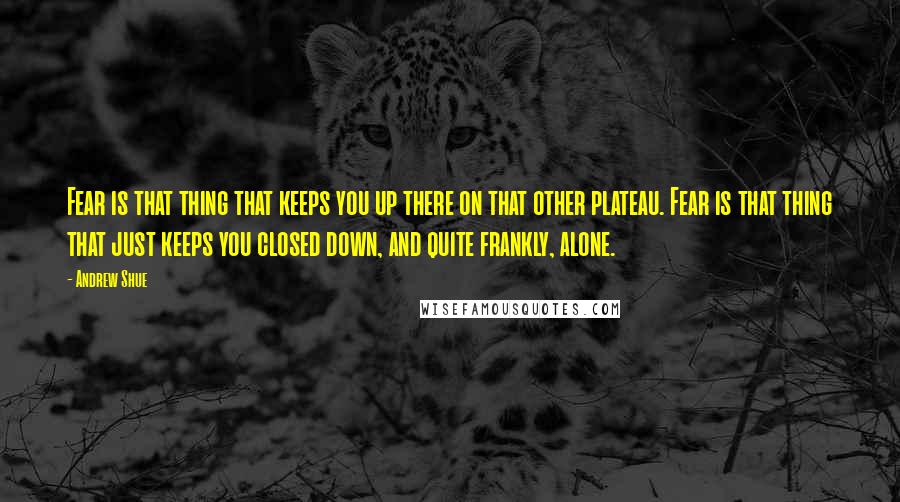 Andrew Shue Quotes: Fear is that thing that keeps you up there on that other plateau. Fear is that thing that just keeps you closed down, and quite frankly, alone.