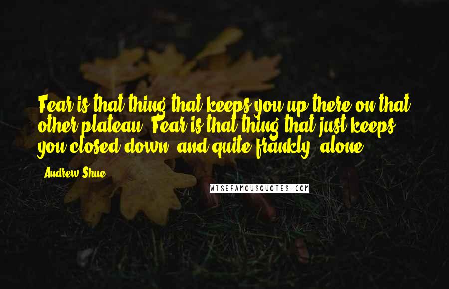 Andrew Shue Quotes: Fear is that thing that keeps you up there on that other plateau. Fear is that thing that just keeps you closed down, and quite frankly, alone.