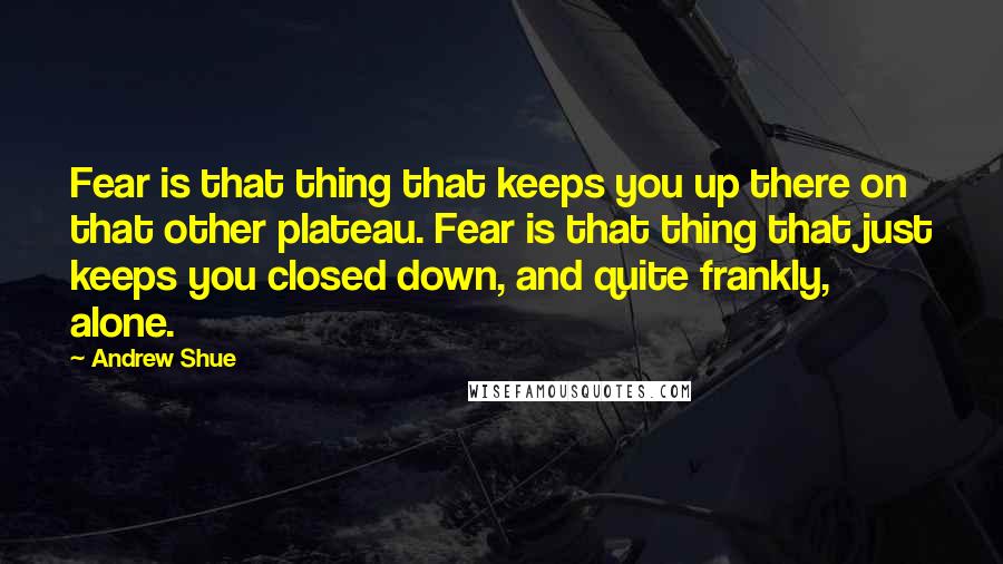 Andrew Shue Quotes: Fear is that thing that keeps you up there on that other plateau. Fear is that thing that just keeps you closed down, and quite frankly, alone.