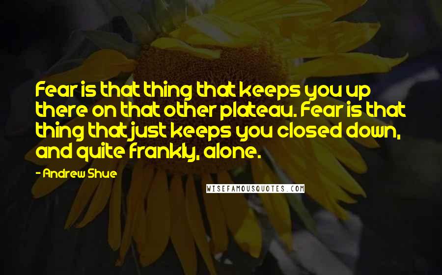 Andrew Shue Quotes: Fear is that thing that keeps you up there on that other plateau. Fear is that thing that just keeps you closed down, and quite frankly, alone.