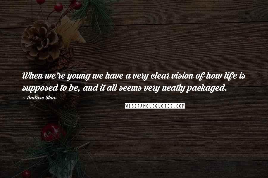 Andrew Shue Quotes: When we're young we have a very clear vision of how life is supposed to be, and it all seems very neatly packaged.