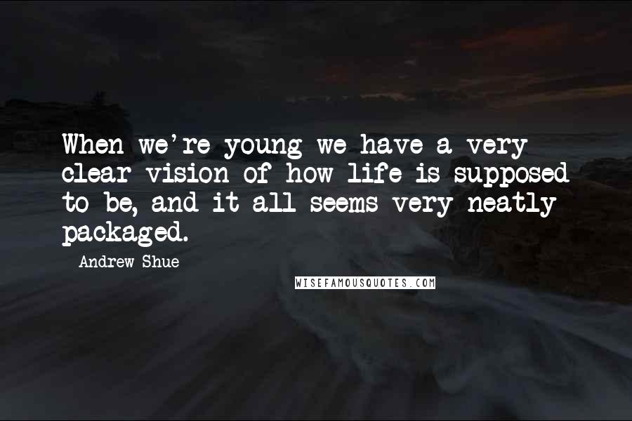Andrew Shue Quotes: When we're young we have a very clear vision of how life is supposed to be, and it all seems very neatly packaged.