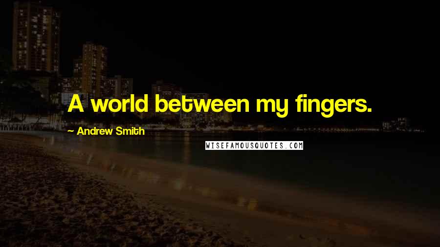 Andrew Smith Quotes: A world between my fingers.