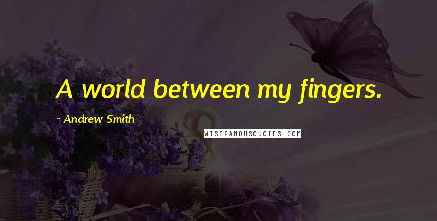 Andrew Smith Quotes: A world between my fingers.