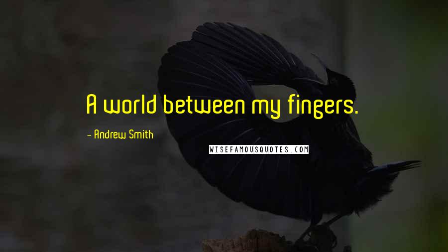 Andrew Smith Quotes: A world between my fingers.