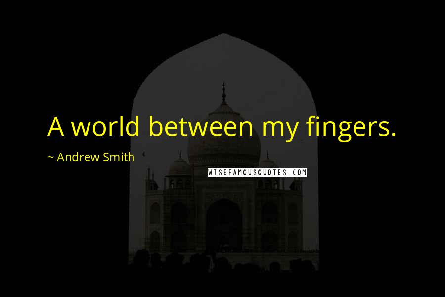 Andrew Smith Quotes: A world between my fingers.