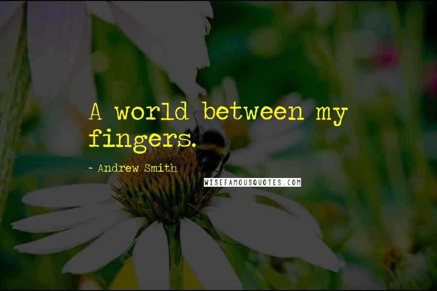 Andrew Smith Quotes: A world between my fingers.