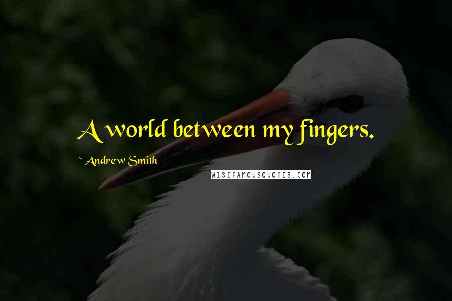 Andrew Smith Quotes: A world between my fingers.