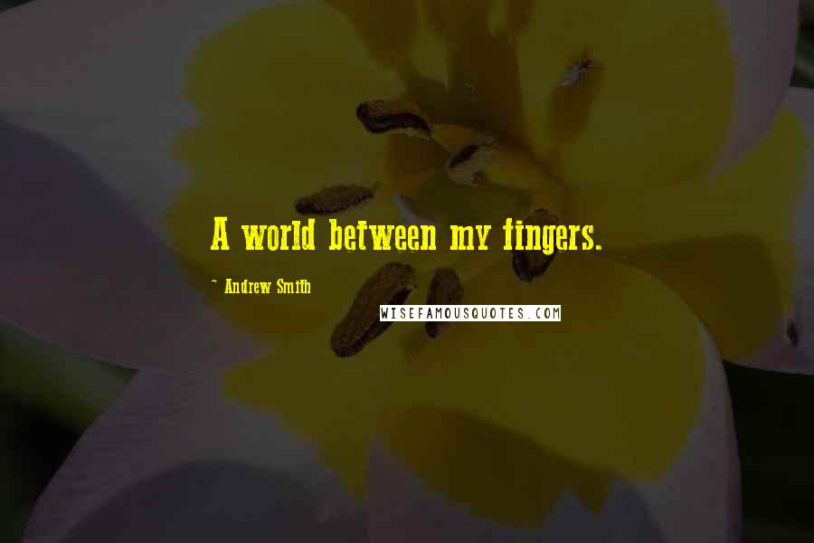 Andrew Smith Quotes: A world between my fingers.