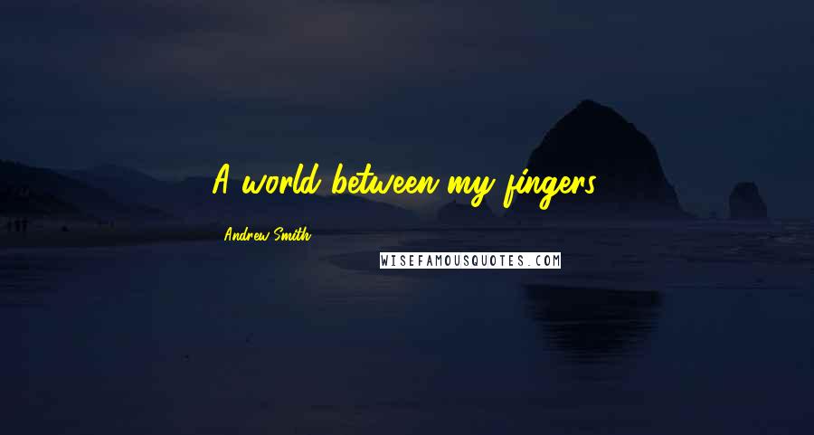 Andrew Smith Quotes: A world between my fingers.