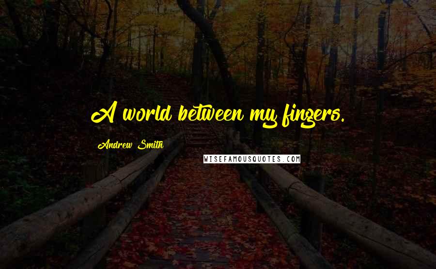 Andrew Smith Quotes: A world between my fingers.