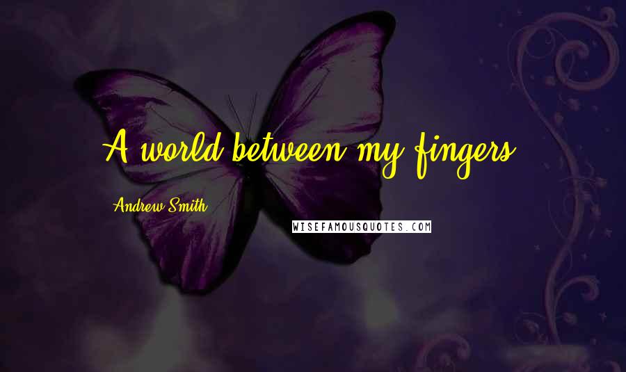 Andrew Smith Quotes: A world between my fingers.