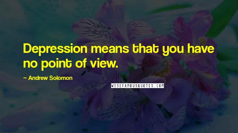 Andrew Solomon Quotes: Depression means that you have no point of view.