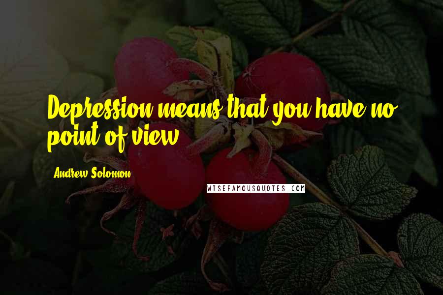 Andrew Solomon Quotes: Depression means that you have no point of view.