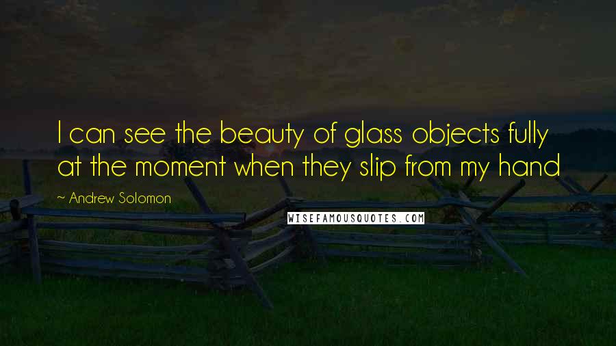Andrew Solomon Quotes: I can see the beauty of glass objects fully at the moment when they slip from my hand