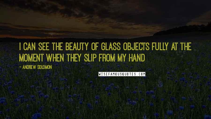 Andrew Solomon Quotes: I can see the beauty of glass objects fully at the moment when they slip from my hand