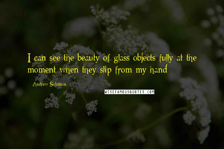 Andrew Solomon Quotes: I can see the beauty of glass objects fully at the moment when they slip from my hand