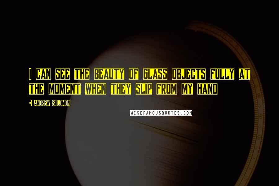 Andrew Solomon Quotes: I can see the beauty of glass objects fully at the moment when they slip from my hand