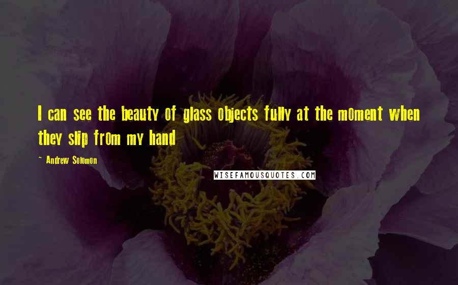 Andrew Solomon Quotes: I can see the beauty of glass objects fully at the moment when they slip from my hand