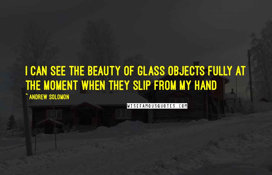 Andrew Solomon Quotes: I can see the beauty of glass objects fully at the moment when they slip from my hand