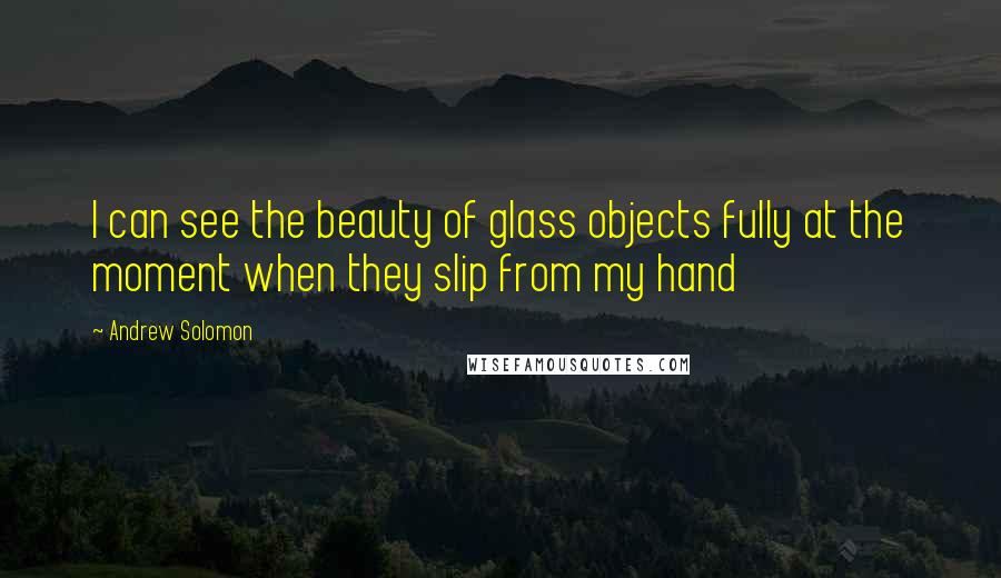 Andrew Solomon Quotes: I can see the beauty of glass objects fully at the moment when they slip from my hand