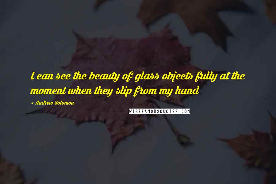 Andrew Solomon Quotes: I can see the beauty of glass objects fully at the moment when they slip from my hand