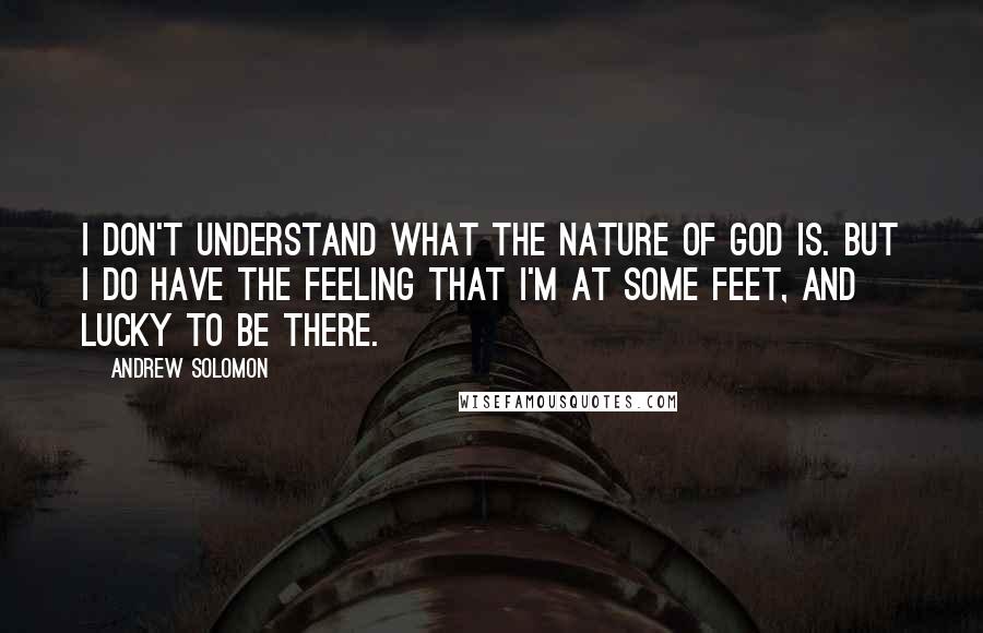 Andrew Solomon Quotes: I don't understand what the nature of God is. But I do have the feeling that I'm at some feet, and lucky to be there.