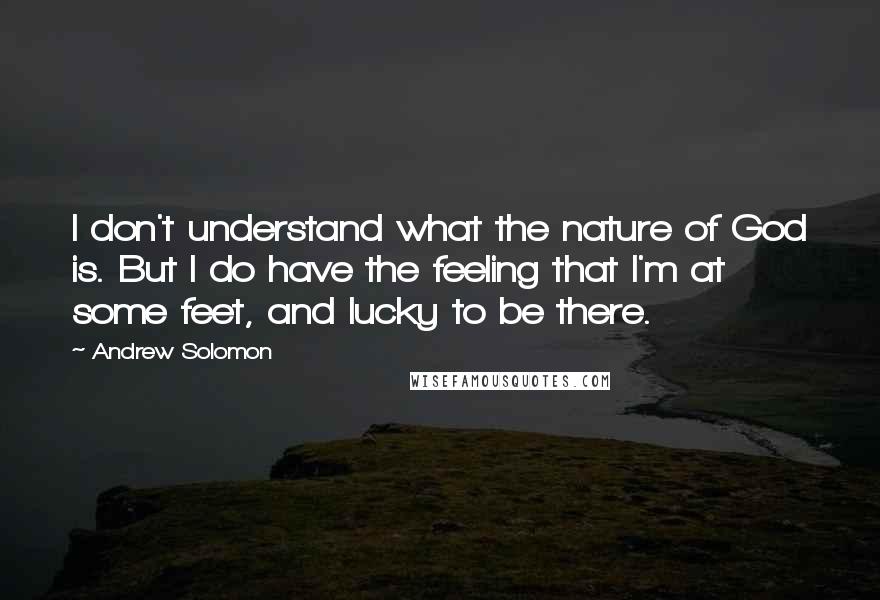 Andrew Solomon Quotes: I don't understand what the nature of God is. But I do have the feeling that I'm at some feet, and lucky to be there.