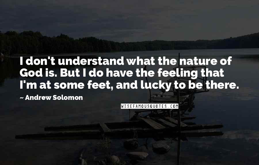 Andrew Solomon Quotes: I don't understand what the nature of God is. But I do have the feeling that I'm at some feet, and lucky to be there.