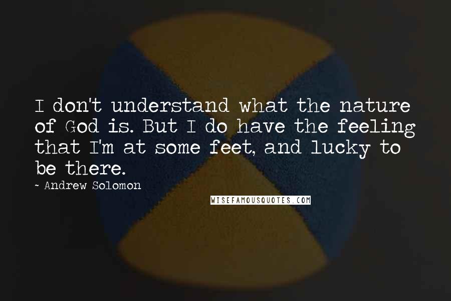 Andrew Solomon Quotes: I don't understand what the nature of God is. But I do have the feeling that I'm at some feet, and lucky to be there.