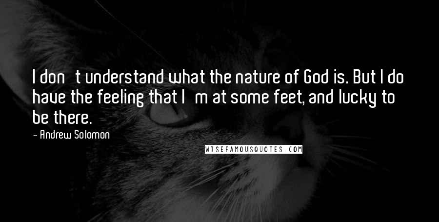 Andrew Solomon Quotes: I don't understand what the nature of God is. But I do have the feeling that I'm at some feet, and lucky to be there.