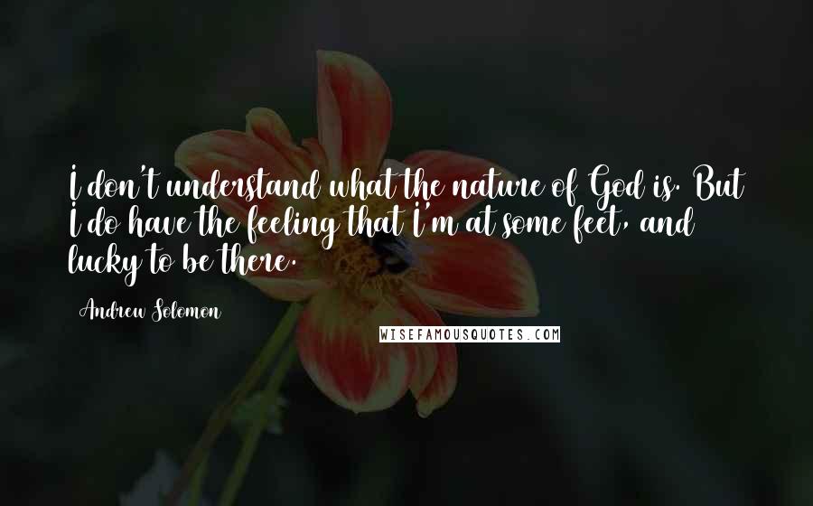 Andrew Solomon Quotes: I don't understand what the nature of God is. But I do have the feeling that I'm at some feet, and lucky to be there.