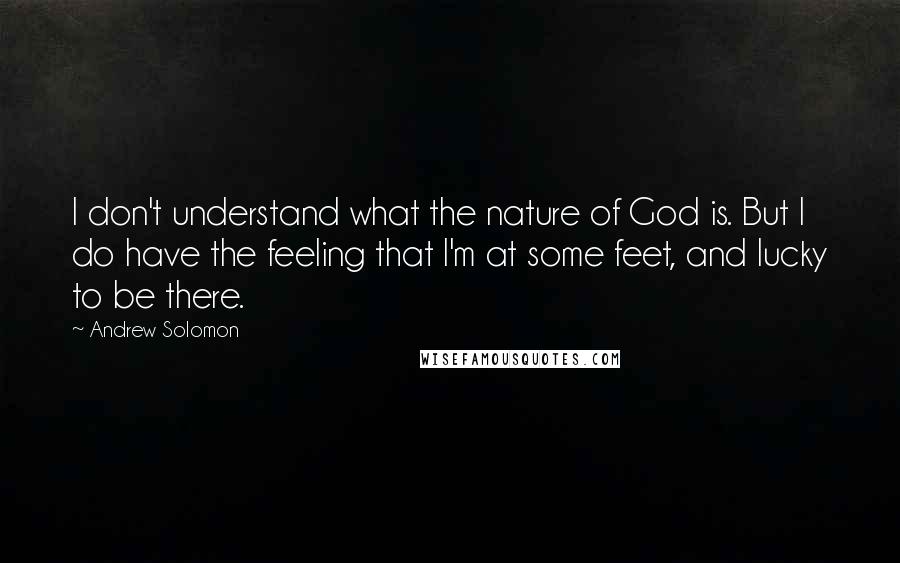 Andrew Solomon Quotes: I don't understand what the nature of God is. But I do have the feeling that I'm at some feet, and lucky to be there.