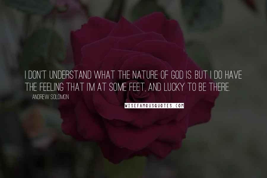 Andrew Solomon Quotes: I don't understand what the nature of God is. But I do have the feeling that I'm at some feet, and lucky to be there.