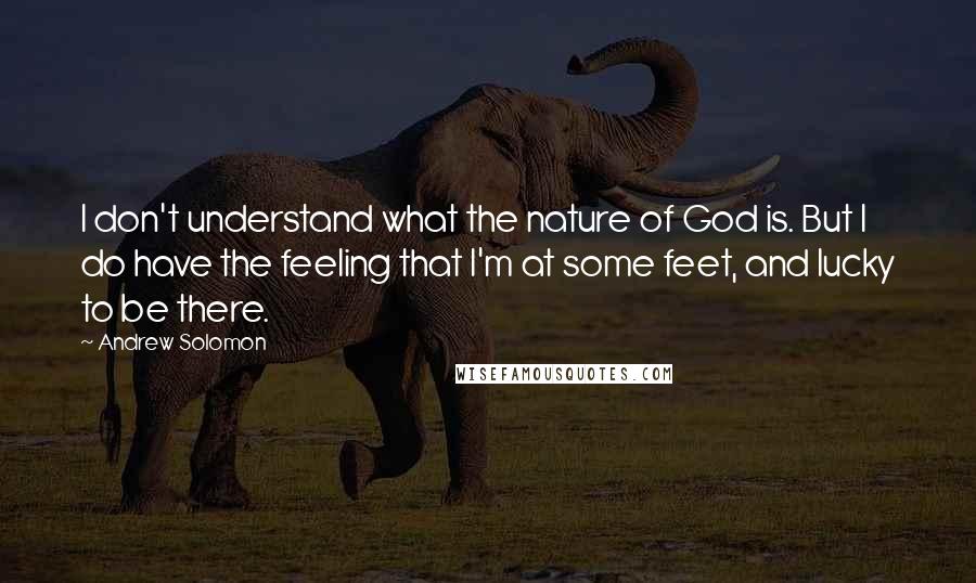 Andrew Solomon Quotes: I don't understand what the nature of God is. But I do have the feeling that I'm at some feet, and lucky to be there.