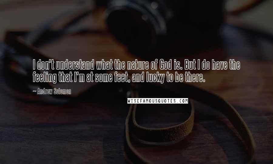 Andrew Solomon Quotes: I don't understand what the nature of God is. But I do have the feeling that I'm at some feet, and lucky to be there.