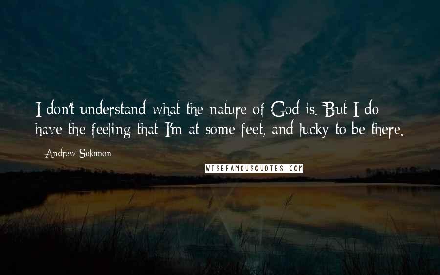 Andrew Solomon Quotes: I don't understand what the nature of God is. But I do have the feeling that I'm at some feet, and lucky to be there.