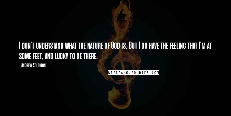 Andrew Solomon Quotes: I don't understand what the nature of God is. But I do have the feeling that I'm at some feet, and lucky to be there.