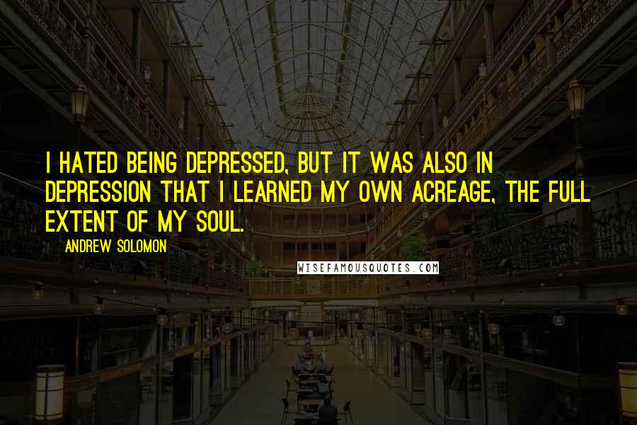 Andrew Solomon Quotes: I hated being depressed, but it was also in depression that I learned my own acreage, the full extent of my soul.