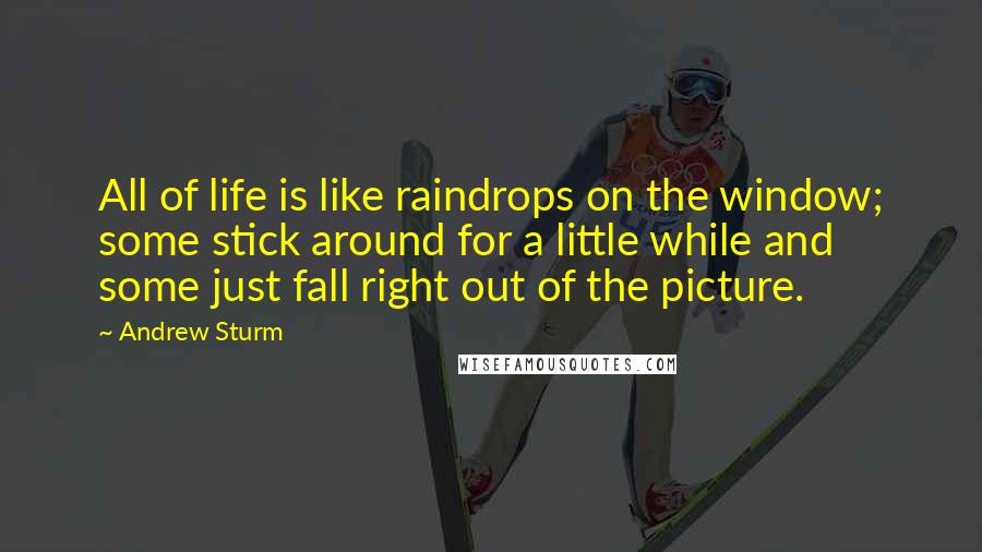 Andrew Sturm Quotes: All of life is like raindrops on the window; some stick around for a little while and some just fall right out of the picture.