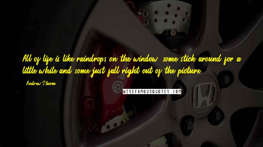 Andrew Sturm Quotes: All of life is like raindrops on the window; some stick around for a little while and some just fall right out of the picture.