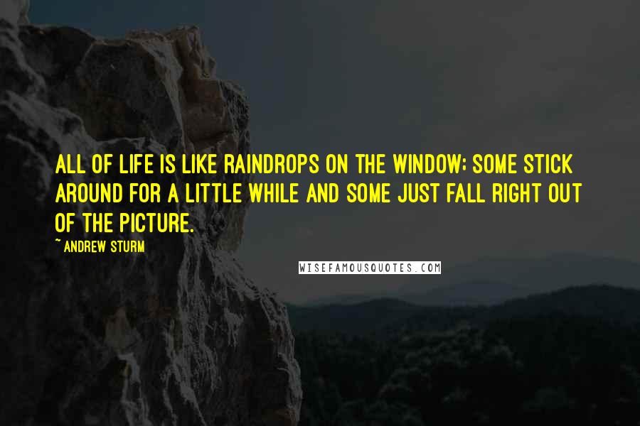 Andrew Sturm Quotes: All of life is like raindrops on the window; some stick around for a little while and some just fall right out of the picture.