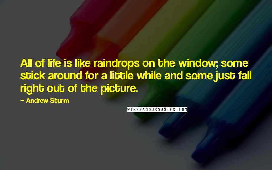 Andrew Sturm Quotes: All of life is like raindrops on the window; some stick around for a little while and some just fall right out of the picture.