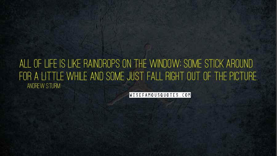 Andrew Sturm Quotes: All of life is like raindrops on the window; some stick around for a little while and some just fall right out of the picture.