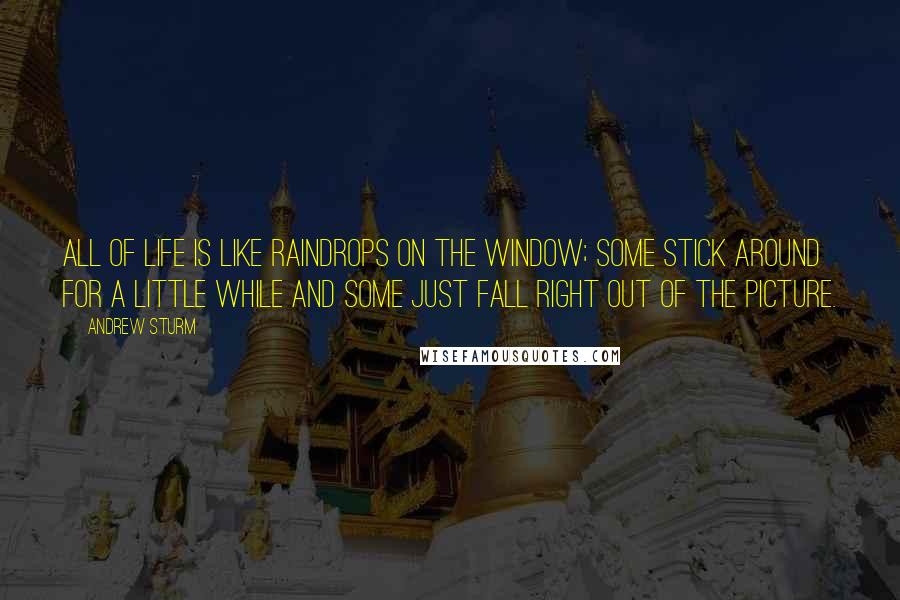 Andrew Sturm Quotes: All of life is like raindrops on the window; some stick around for a little while and some just fall right out of the picture.